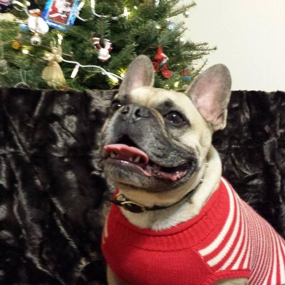 Meet your Posher, Genevieve - Picture 1 of 1